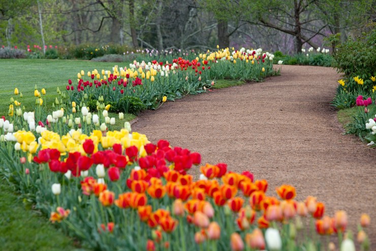 Flower Gardens Today Thomas Jefferson S Monticello