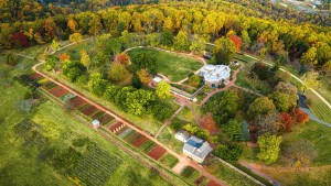 Aerial of the Monticello mountaintop in the fall looking from the southeast and showing the main house and its wings, the winding flower walk, buildings along Mulberry Row, the Vegetable Garden Terrace, the South Orchard and Vineyards, and the deeper forested area to the north and west.