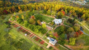Aerial of the Monticello mountaintop in the fall looking from the southeast and showing the main house and its wings, the winding flower walk, buildings along Mulberry Row, the Vegetable Garden Terrace, the South Orchard and Vineyards, and the deeper forested area to the north and west.