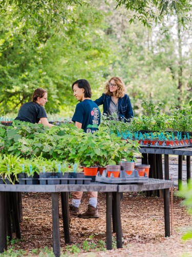 Visitors shop at a CHP plant sale