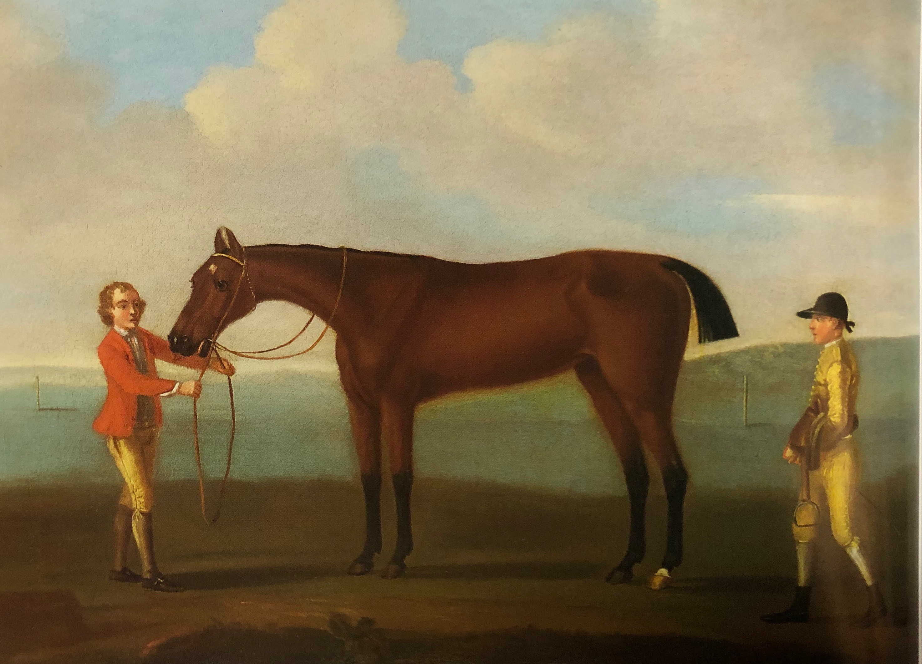 The Horses of Monticello Monticello