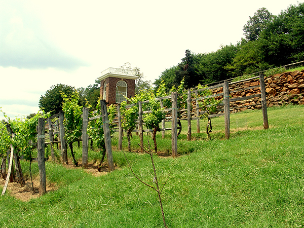 Jefferson's fruitery and garden pavillion