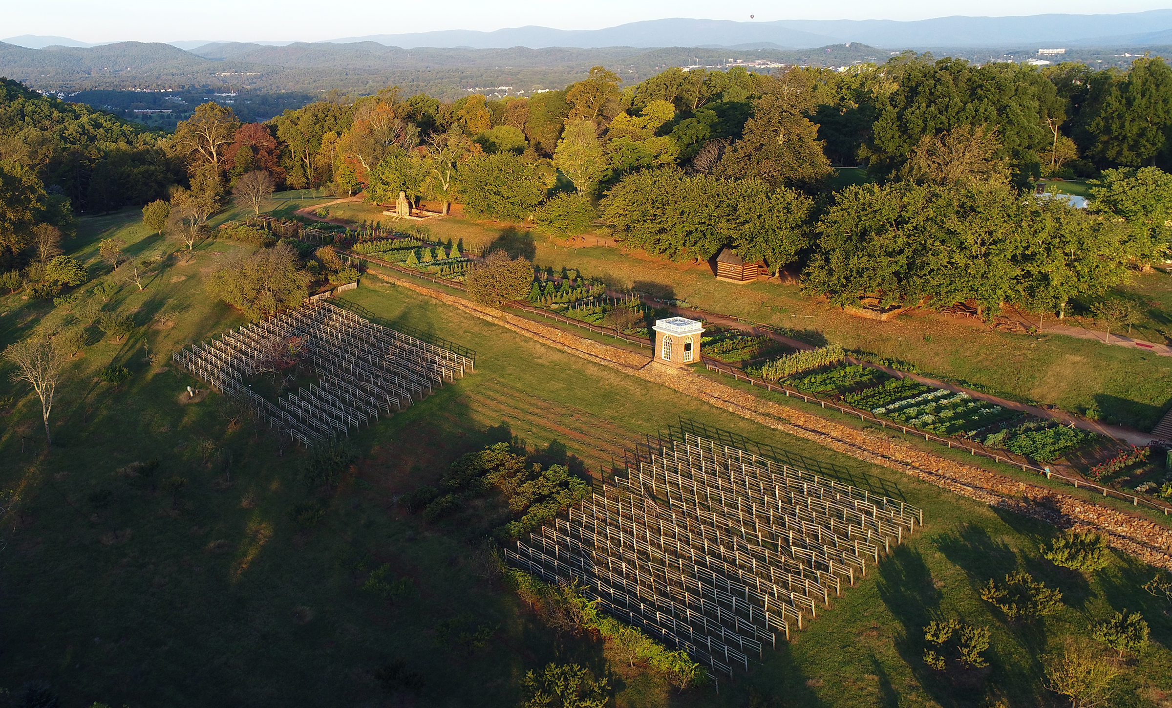 The Vineyard trellises at Monticello