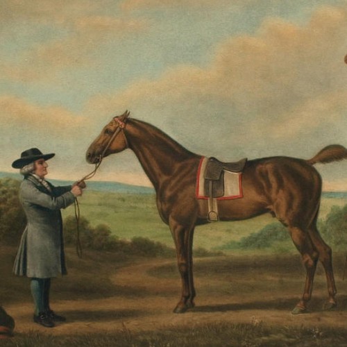 Horses at Monticello Monticello