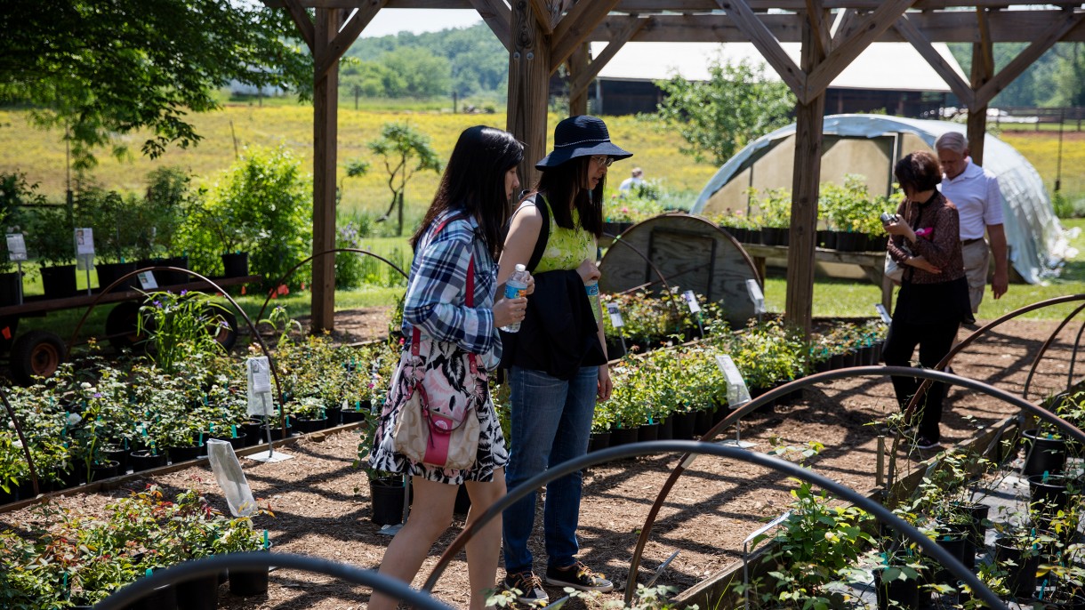 Visit the Thomas Jefferson Center for Historic Plants Monticello