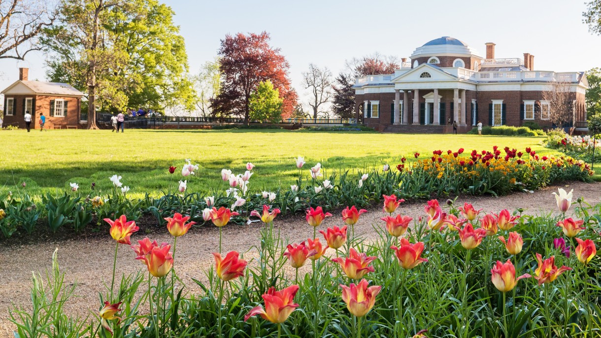 Spring at Monticello Monticello