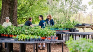 Visitors shop at Monticello's Center for Historic Plants