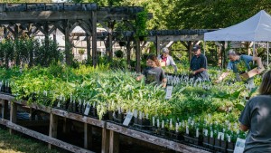 Visitors shop at Monticello's Center for Historic Plants